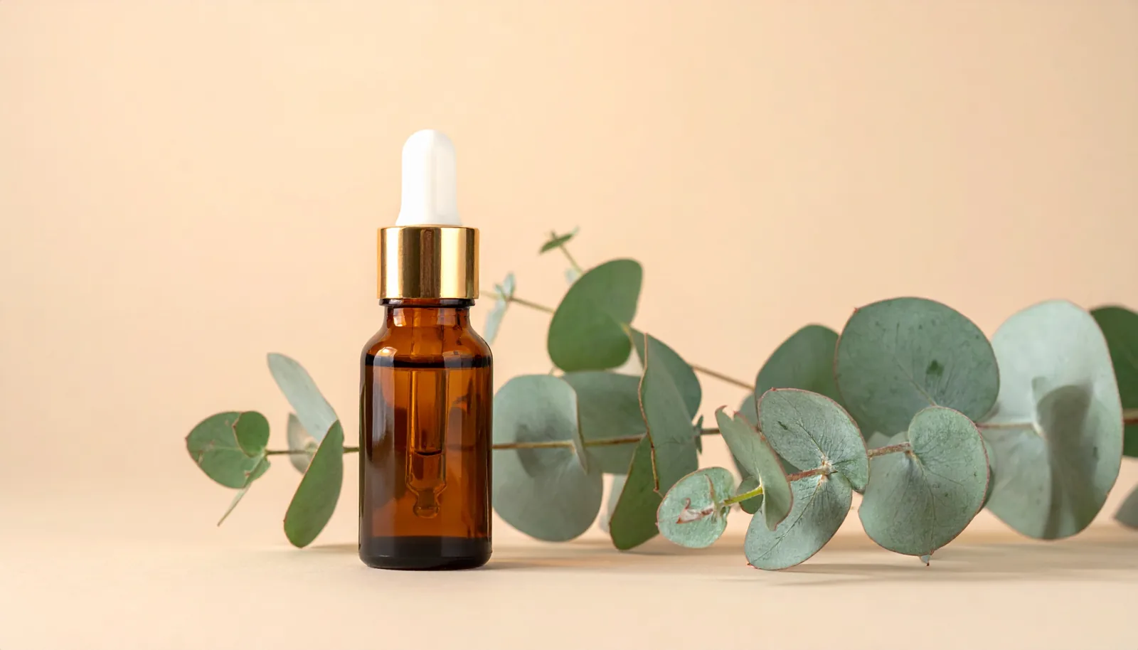 Eucalyptus